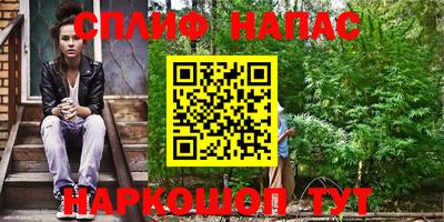 амф Кандалакша