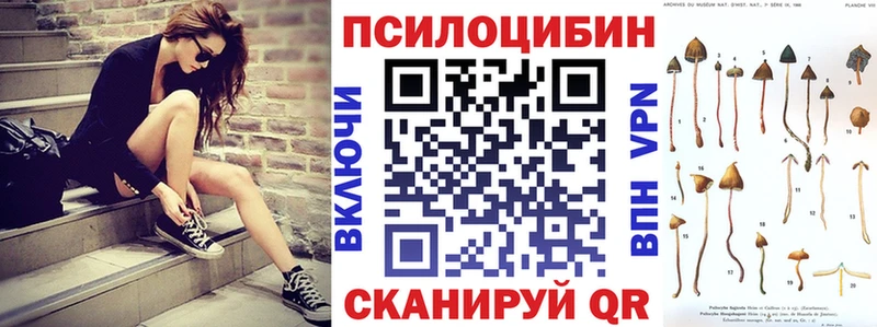 где можно купить Миллерово Галлюциногенные грибы Magic Shrooms