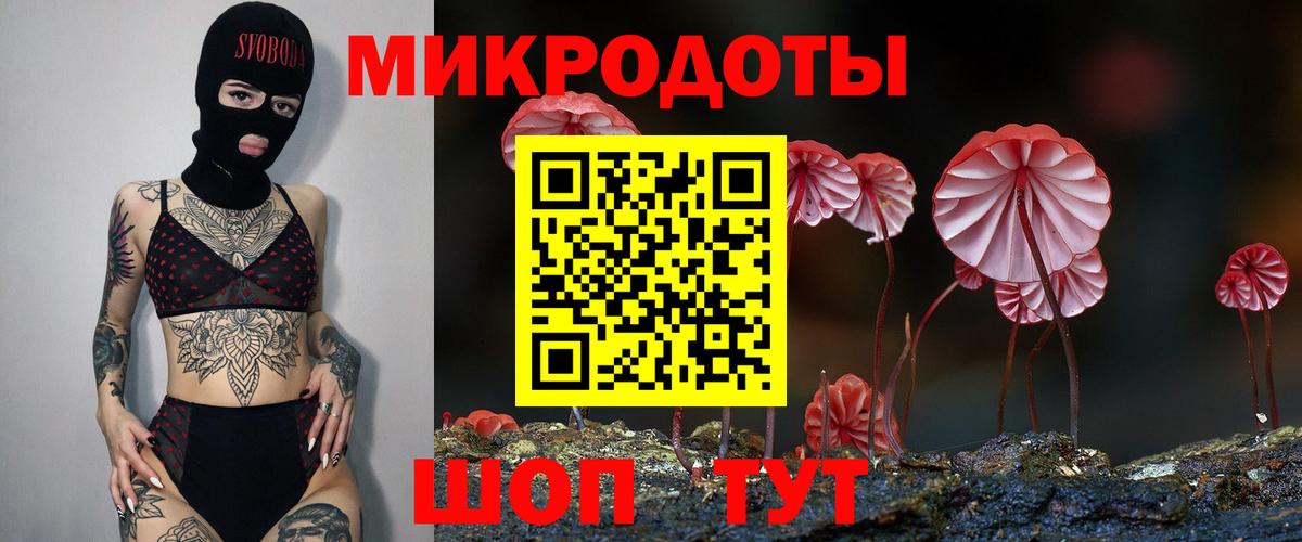 где найти   Галлюциногенные грибы мицелий  Вход с VPN  Миллерово 