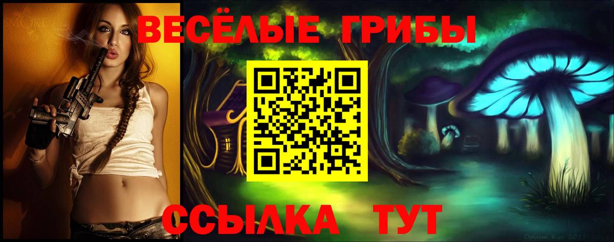 Псилоцибиновые грибы прущие грибы Миллерово