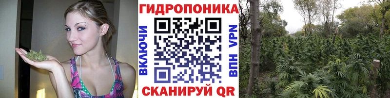 Бошки Шишки конопля Миллерово